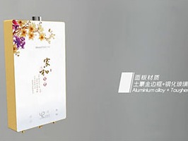 巧派廚電---燃?xì)鉄崴?></dt></a>
                        <a href=